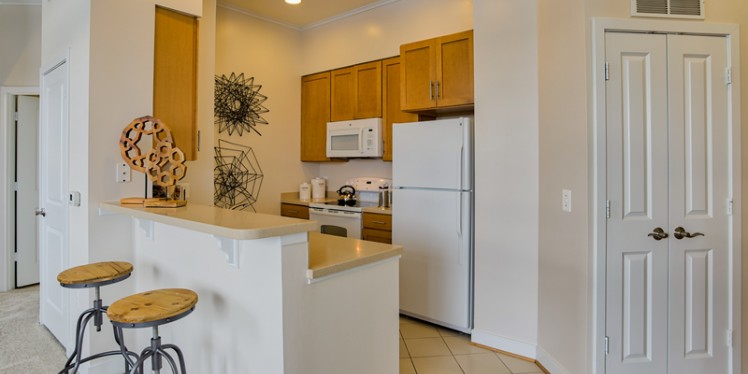 The Amelia The Amelia